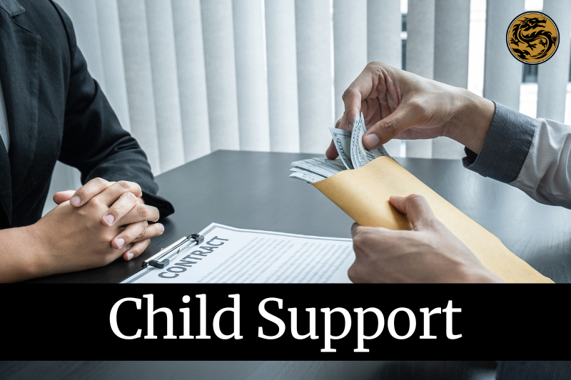 Child Support Lawyers in Chico, California