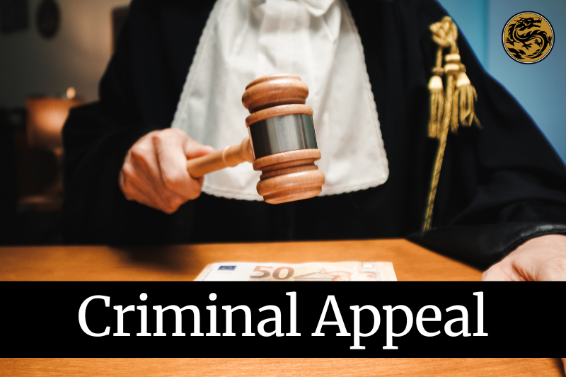 Criminal Appeals Lawyers in Chico, California