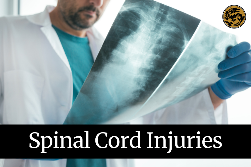 Spinal Cord Injury Lawyers in Chico, California